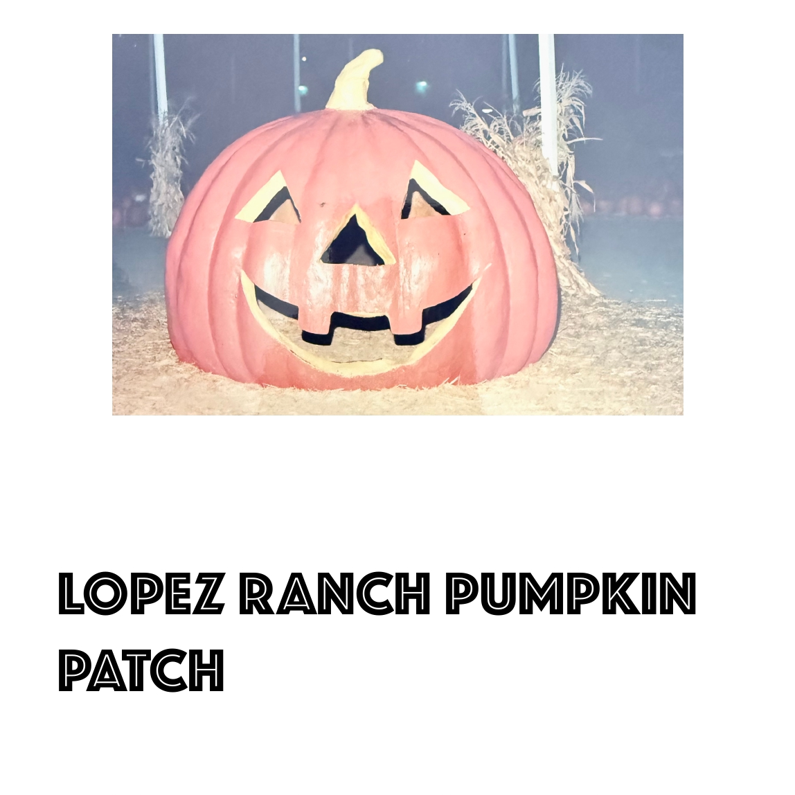 Lopez Ranch Pumpkin Patch
